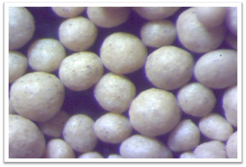 Introduction to Cerabeads and Their Role in Water Treatment